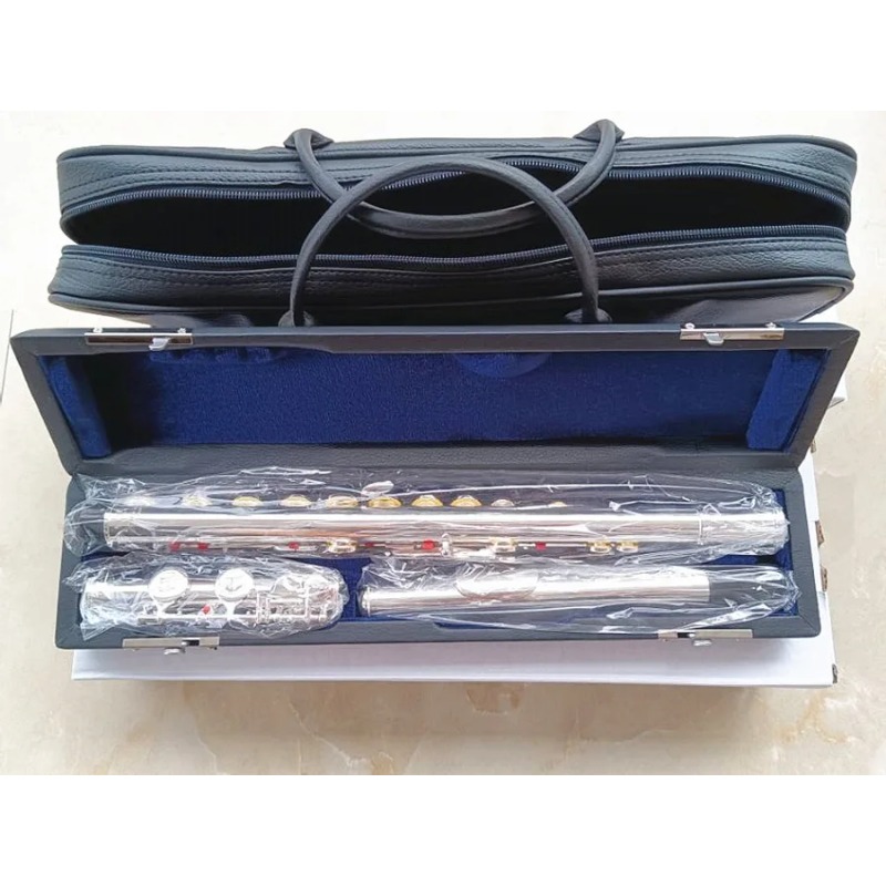Flauta profissional 211sl mode - Musical Instrument Morocco avaliação e preço